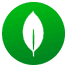 MongoDB Server